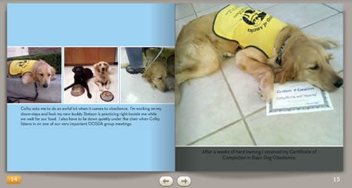 Sponsor A Guide Dog