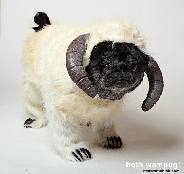 Star Wars Wampa Ice Create Doggy Costume