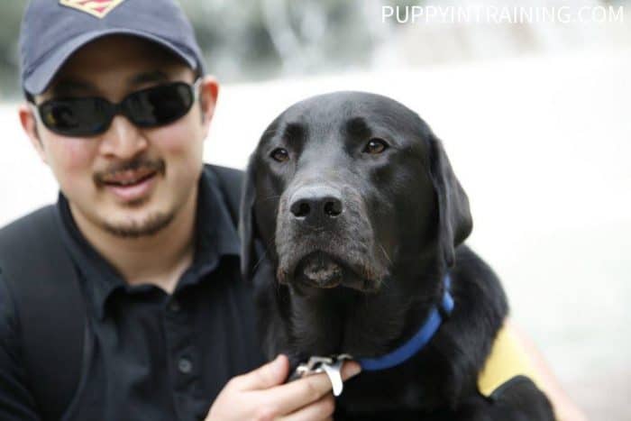 Colby the human and Stetson the black lab puppy in training