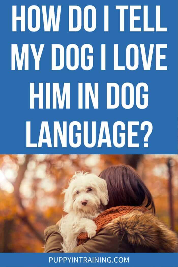 How Do I Tell My Dog I Love Him In Dog Language? - white dog being held by his dog mom.