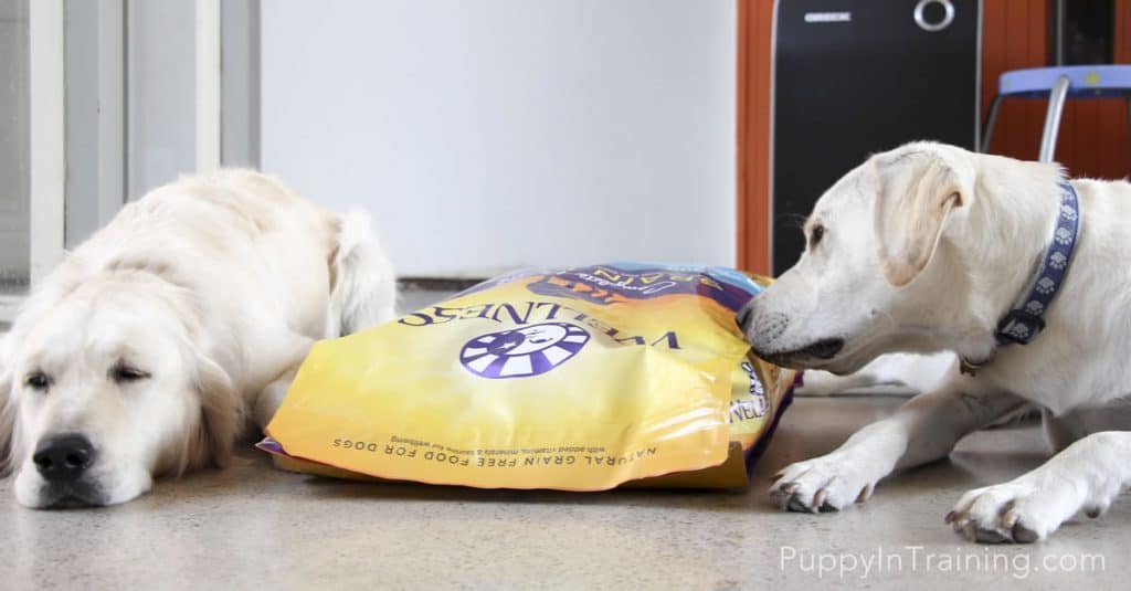 Sorry Raven...Archer gets the first bowl of Wellness Grain Free Dog Food!