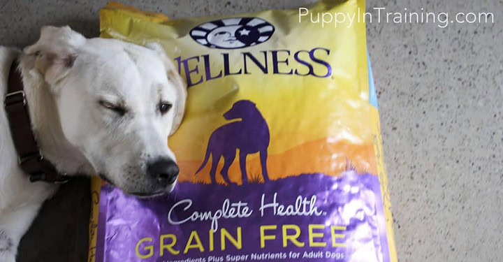 Wellness Dog Food Pillow?