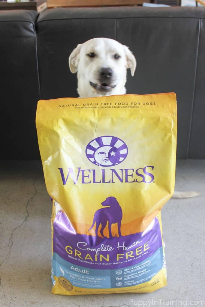 Wellness Grain Free Dog Food