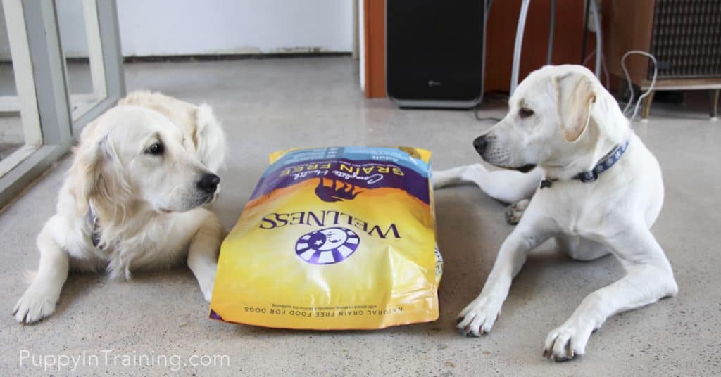 Raven & Archer: He/She who can stay awake longest gets the Wellness Complete Health Grain Free Dog Food!