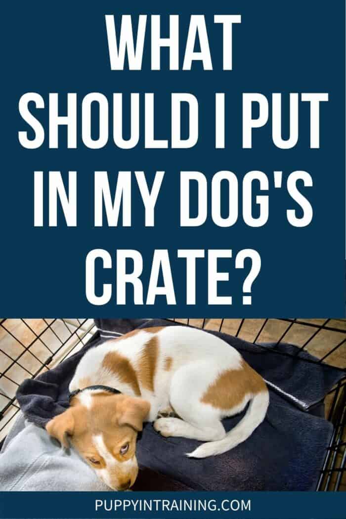 What Should I Put In My Dog's Crate? - brown spotted puppy down in his crate with blankets