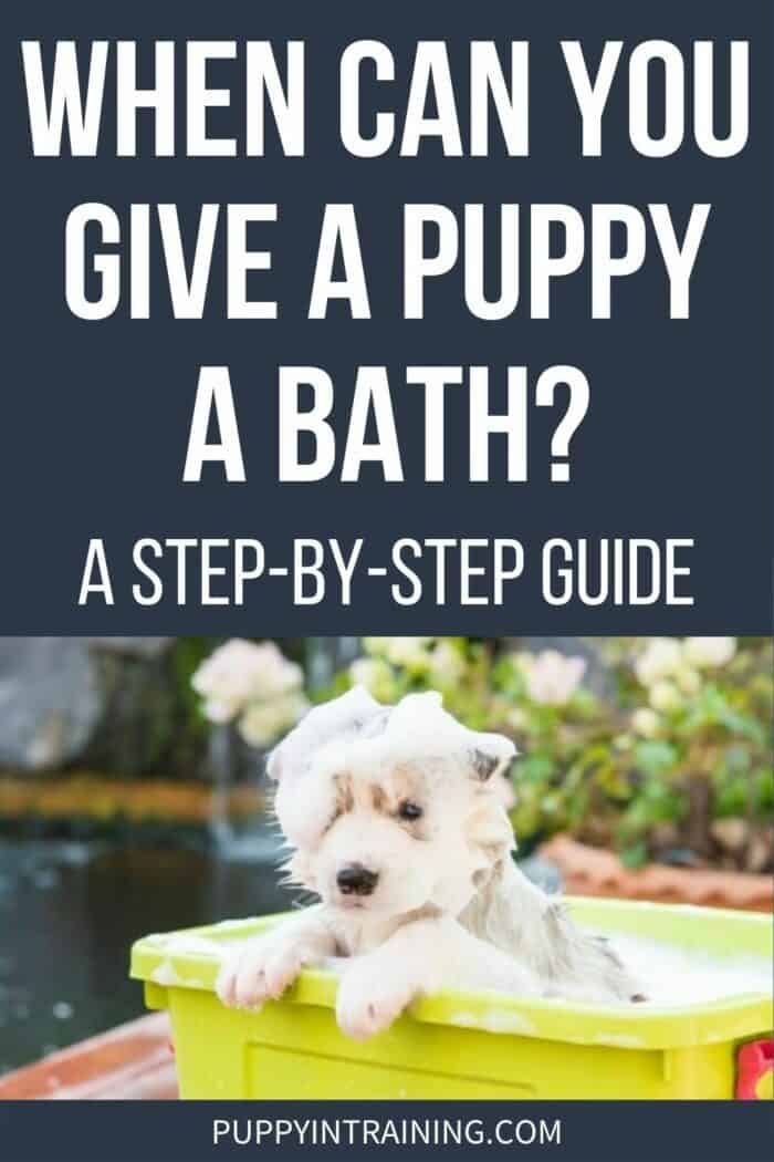 When Can You Give A Puppy A Bath? A Step-By-Step Guide - sudsy puppy in a yellow container of water