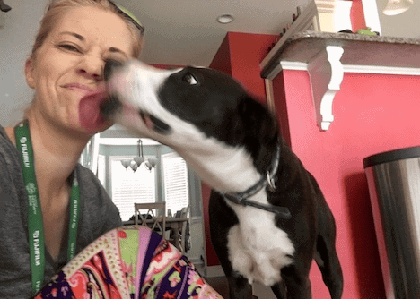 Former dog walking client Bailey loved showering me with happy, enthusiastic kisses after our walks.